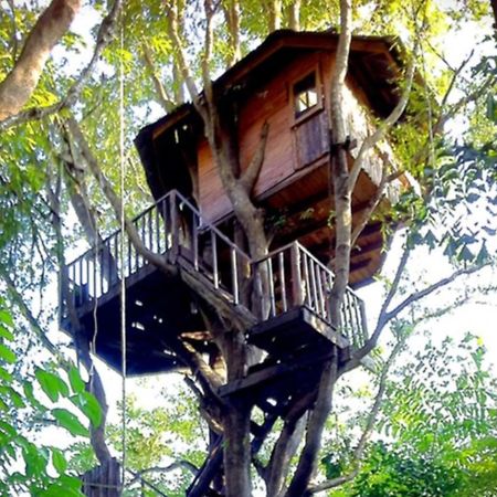 Rabeang Pasak Tree House Resort Chiang Mai Exterior foto